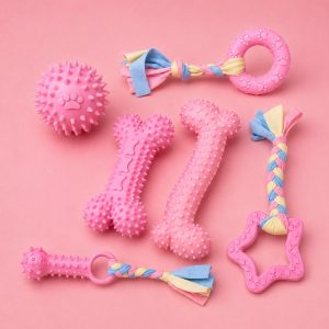 6 PCS Dog Chew Toy