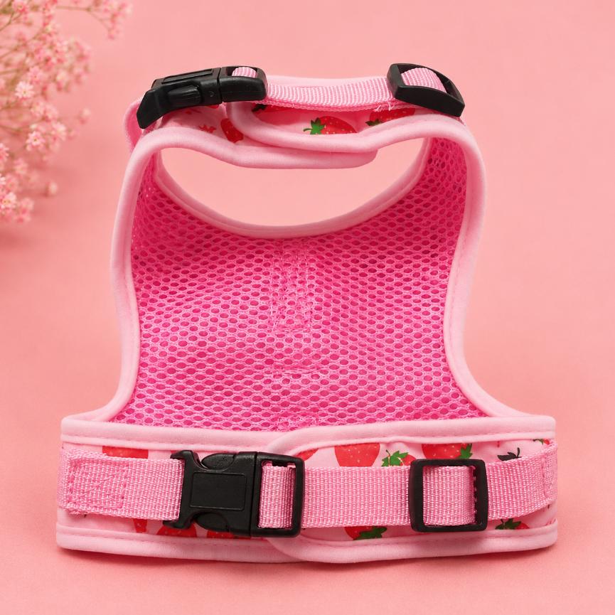 Fruit Print Cat Harness & Leash Set