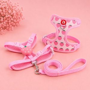 Fruit Print Pet Harness & Leash Set